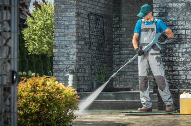 Best Gutter Cleaning  in Richmond, IL