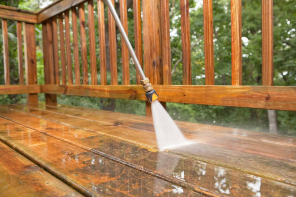 Best Fence Cleaning  in Richmond, IL